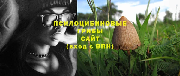 ECSTASY Абаза