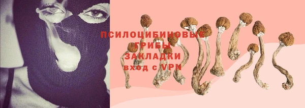 ПСИЛОЦИБИНОВЫЕ ГРИБЫ Абдулино