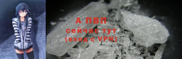 прущие крисы Абинск