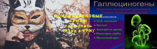 ПСИЛОЦИБИНОВЫЕ ГРИБЫ Абдулино