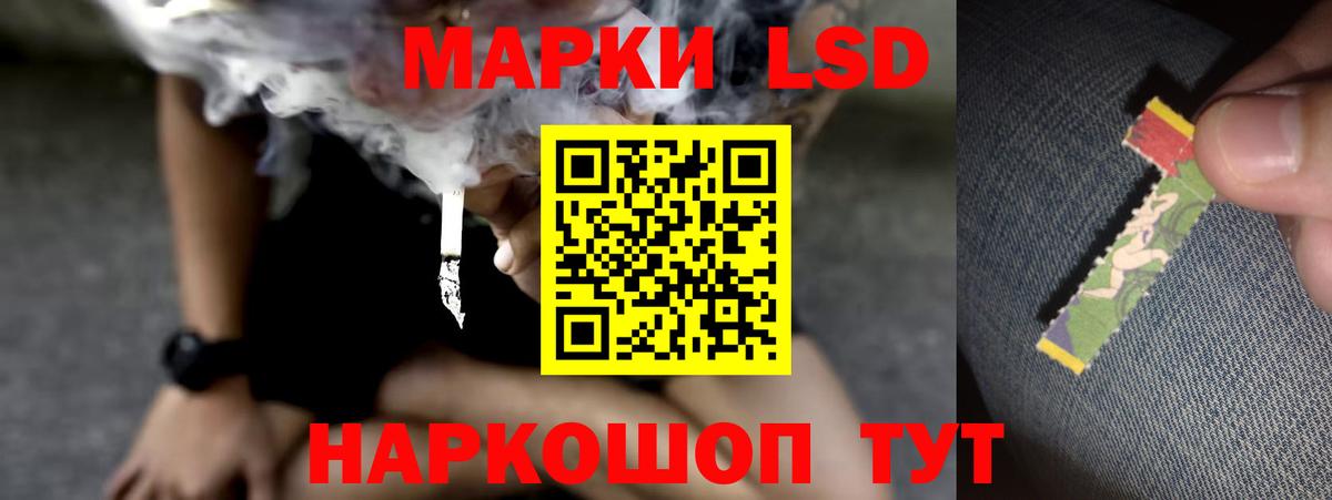Новосибирск  блэк спрут tor  Вход с VPN  LSD-25 экстази кислота 