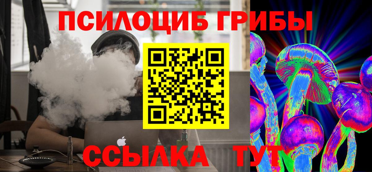 Галлюциногенные грибы Psilocybine cubensis  Галлюциногенные грибы Psilocybine cubensis  Новосибирск  наркотики  Вход с VPN 