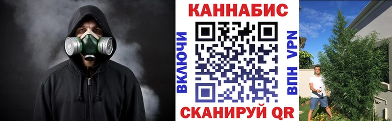Марихуана сатива  что такое наркотик  Новосибирск 
