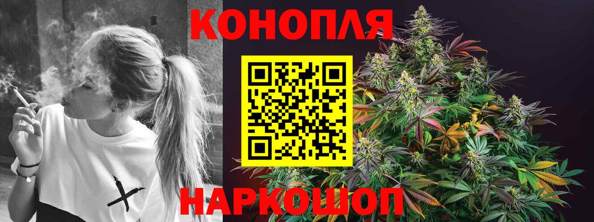 Новосибирск  Бошки марихуана семена  Марихуана план  Конопля SATIVA & INDICA  Вход с VPN 